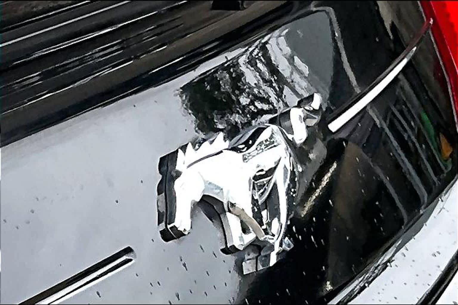 Used 2022 Ford Mustang Coupe RWD image 10