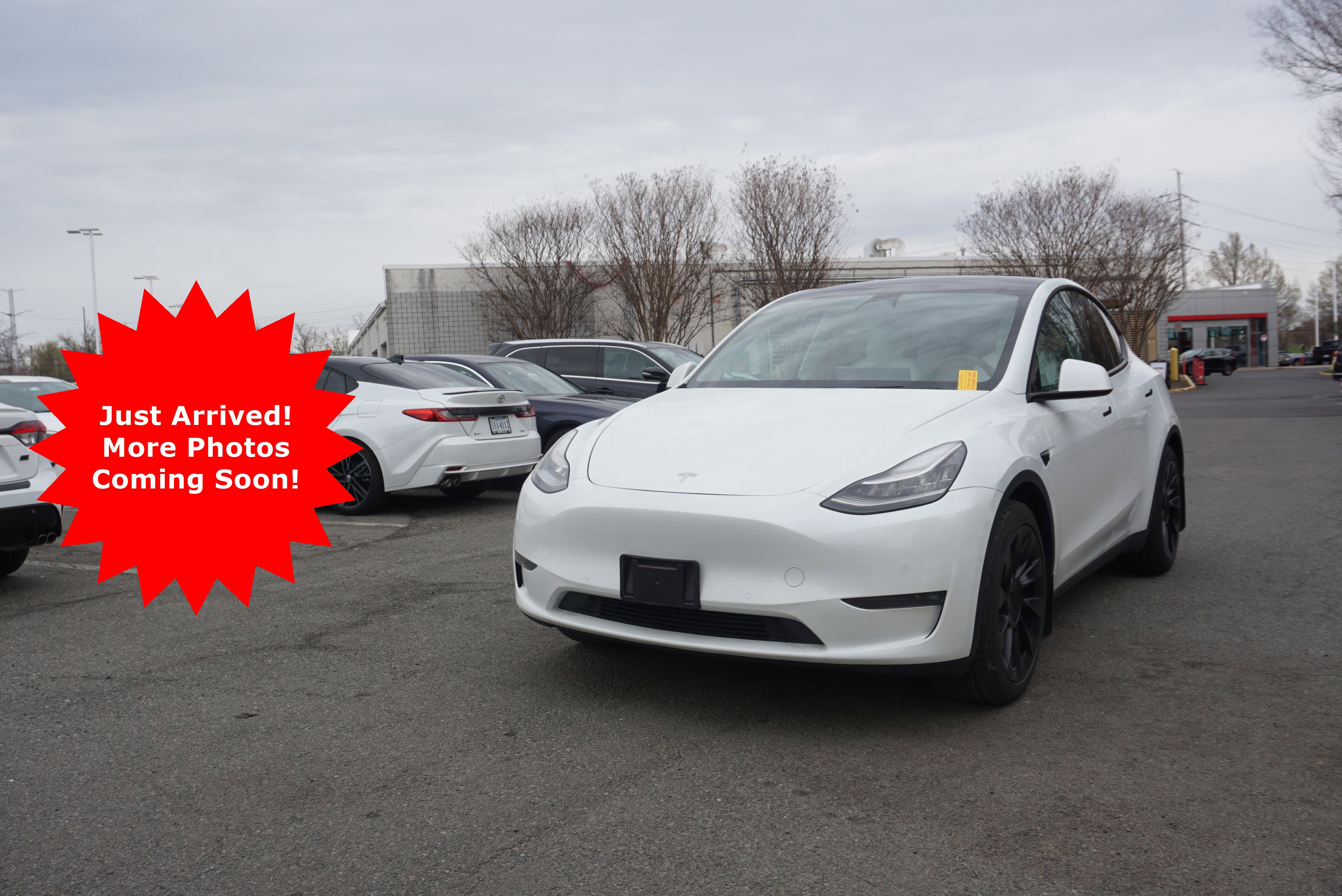 Used 2020 Tesla Model Y Long Range image 1