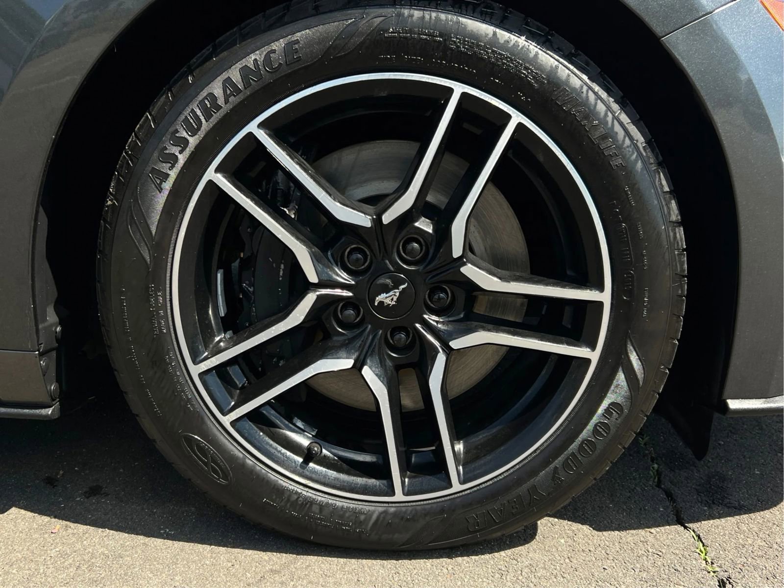 Used 2018 Ford Mustang GT RWD image 24