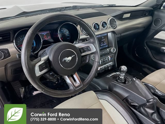 Used 2015 Ford Mustang 50 Years RWD image 10
