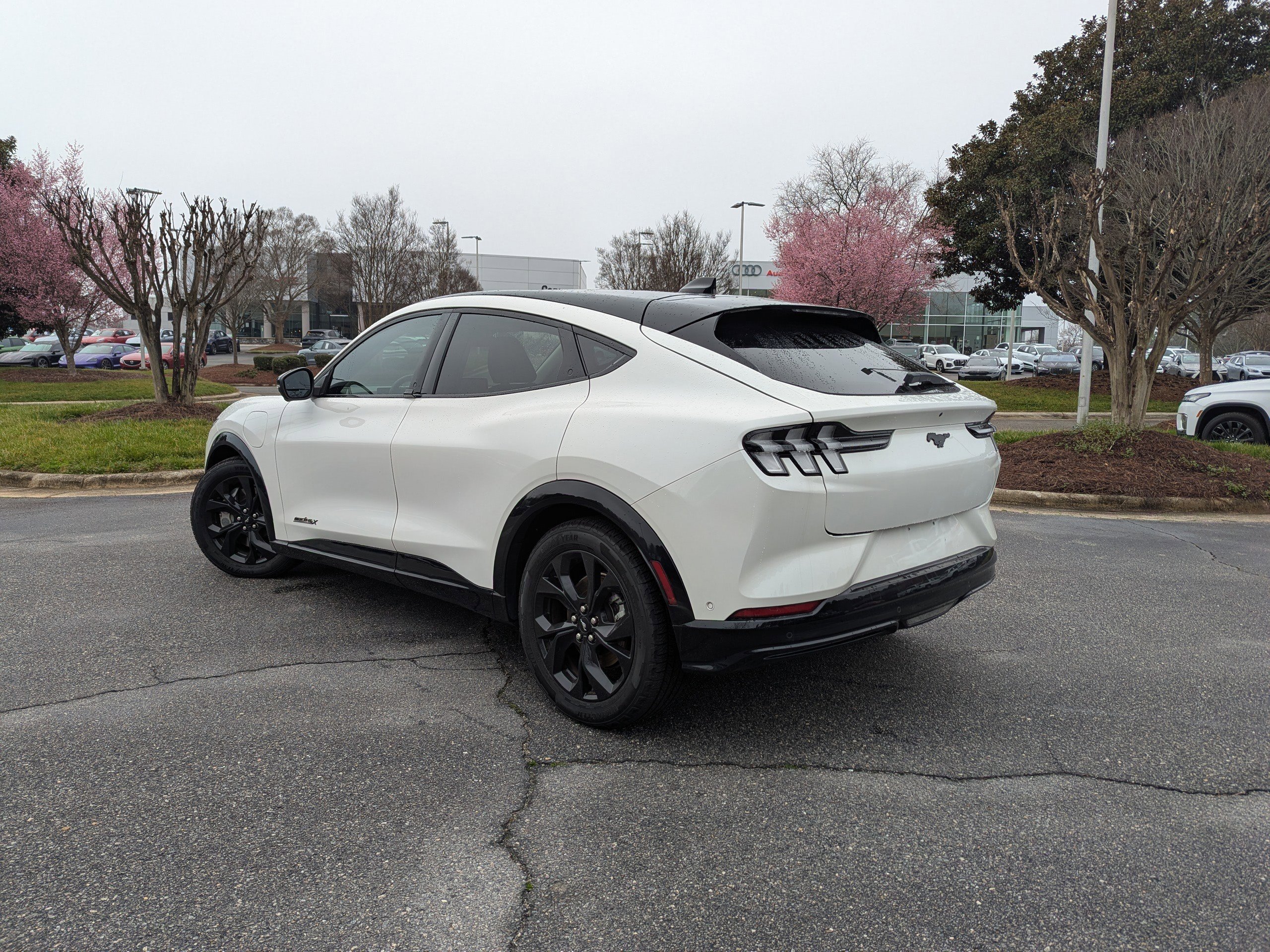 Used 2023 Ford Mustang Mach-E Premium w/ Mustang Nite Pony Package image 7