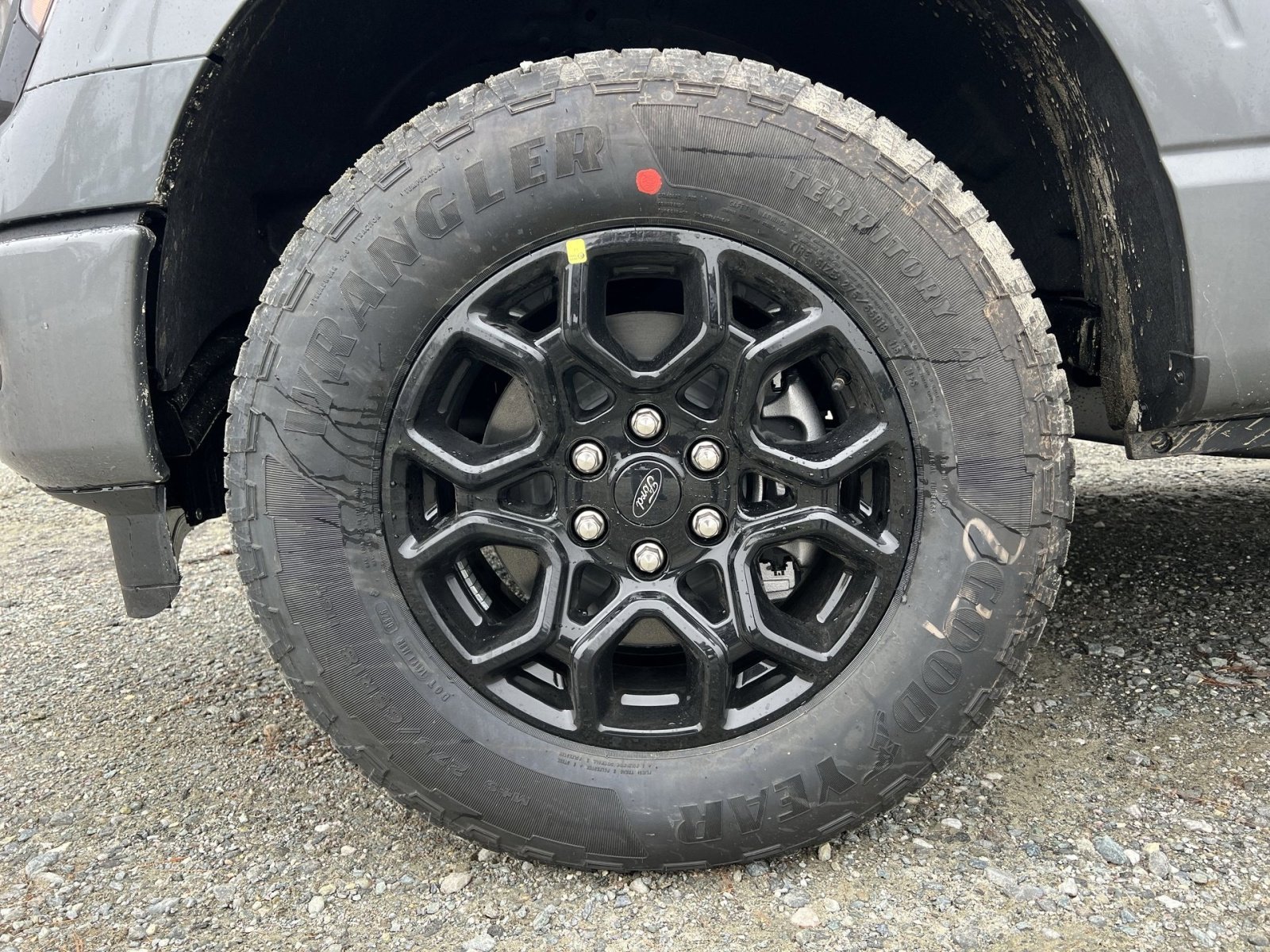 New 2026 Ford F150 XLT image 12