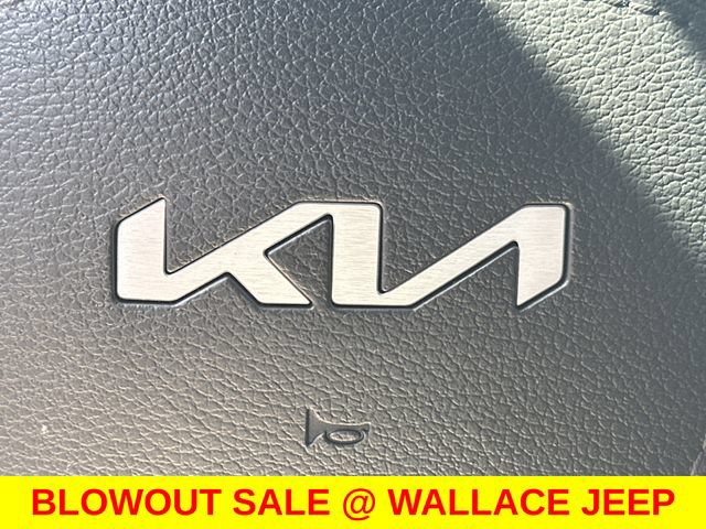 Used 2025 Kia Telluride SX Prestige X-Pro AWD/4WD image 25