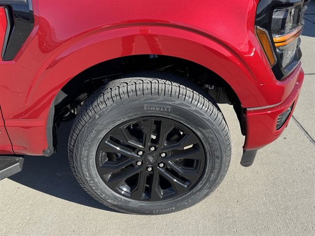 New 2025 Ford F150 XLT w/ Equipment Group 303A High image 2