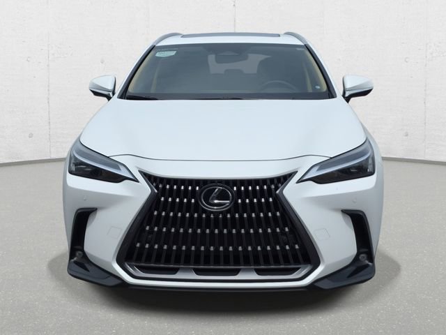 Certified 2024 Lexus NX 350 AWD w/ Vision Package image 2