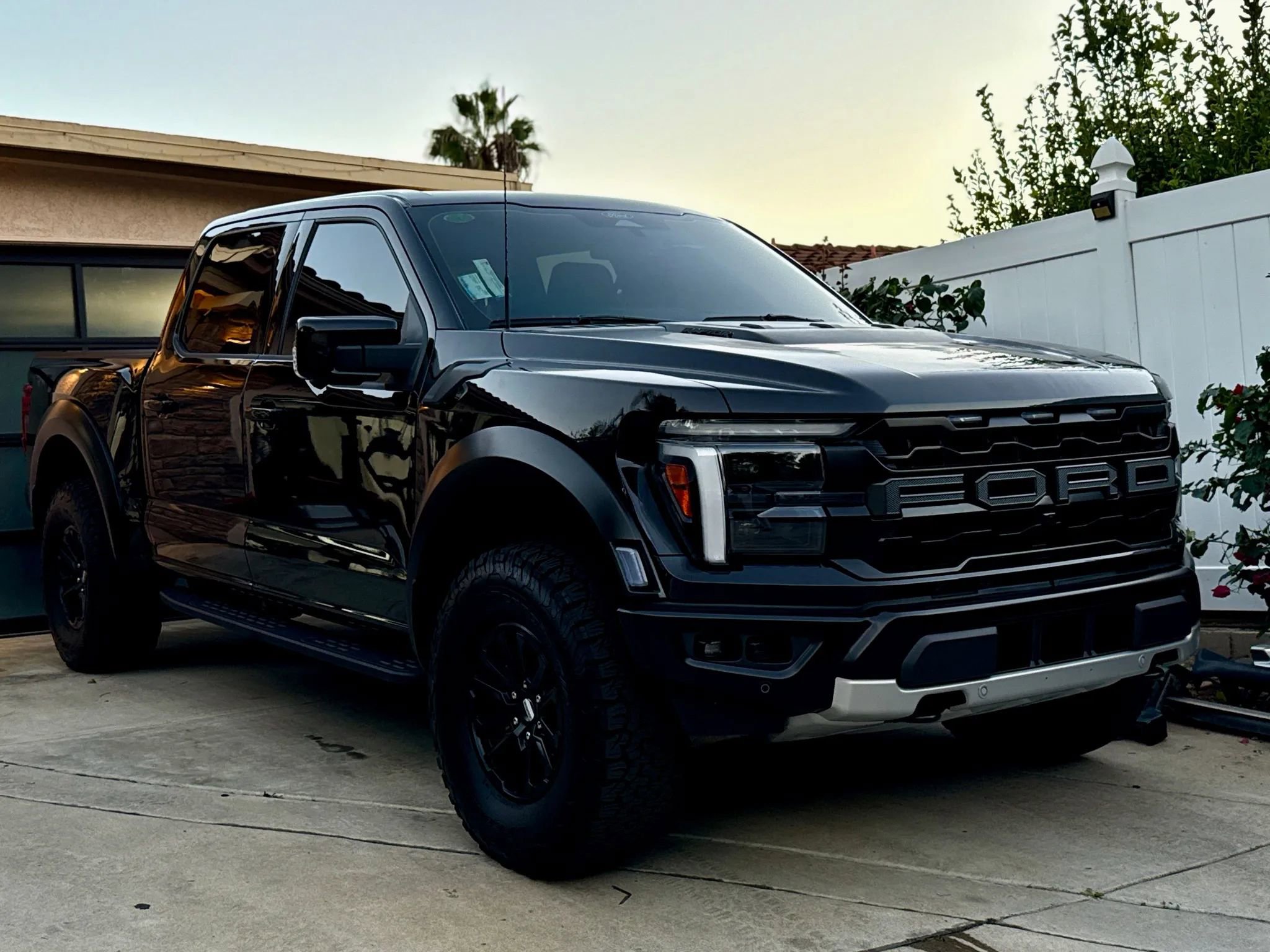 Used 2025 Ford F150 Raptor image 3