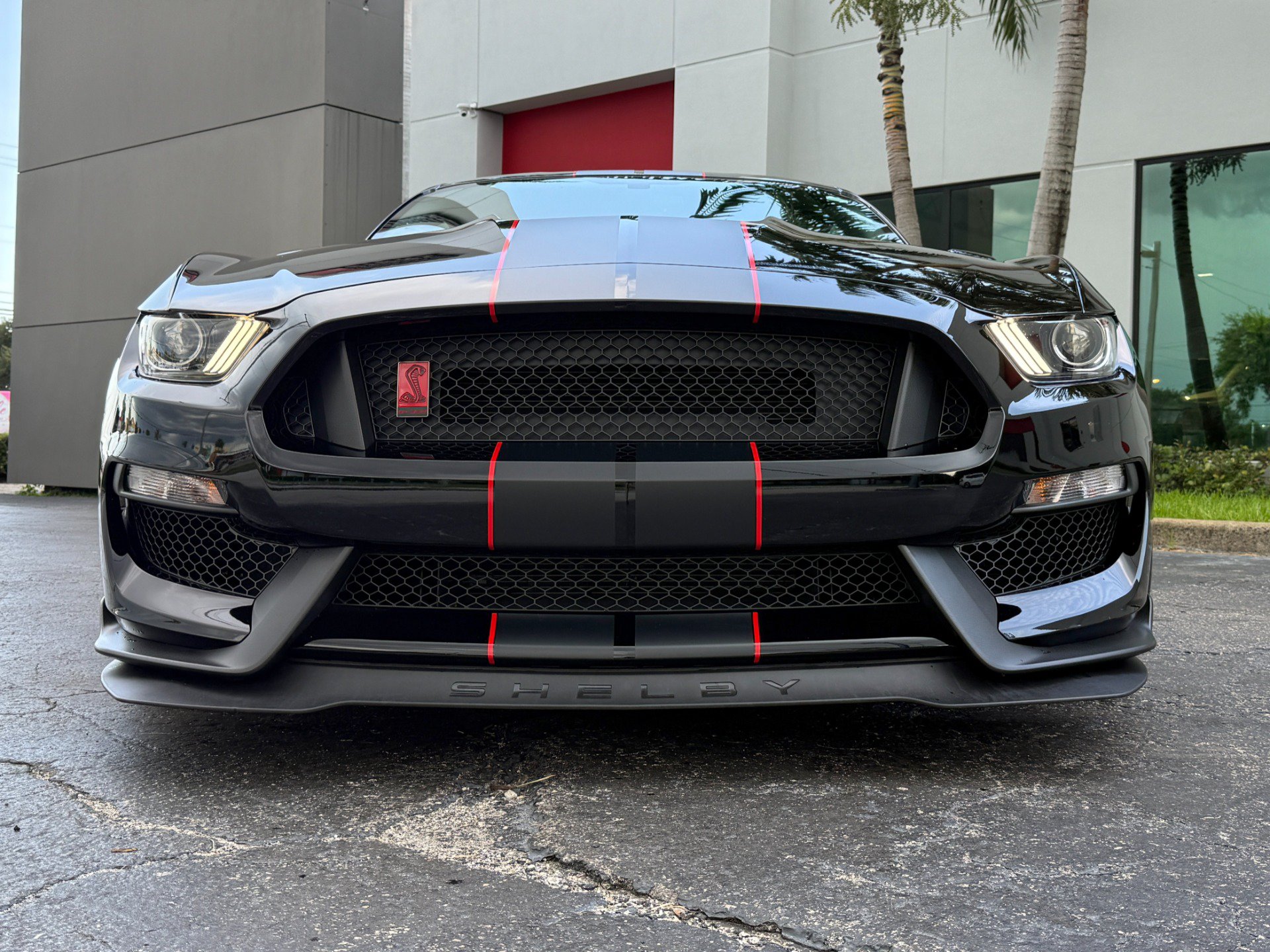 Used 2017 Ford Mustang Shelby GT350R w/ GT350R Equipment Group 920A RWD image 8