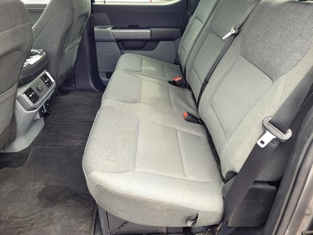 Used 2025 Ford F150 XLT w/ Equipment Group 301A Standard AWD/4WD image 12