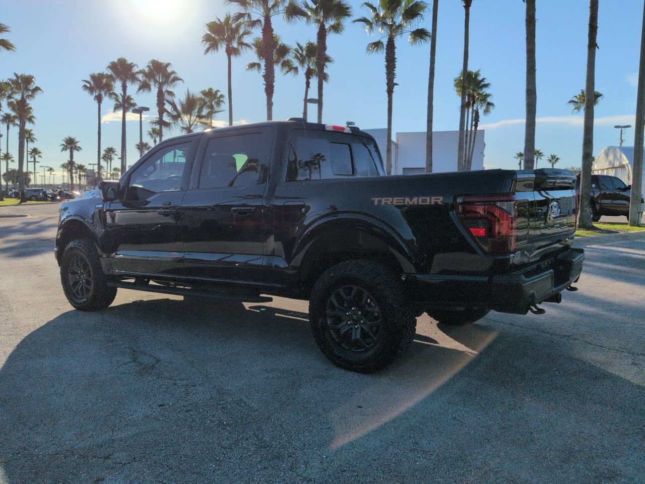 Used 2025 Ford F150 Tremor w/ Equipment Group 402A High AWD/4WD image 6