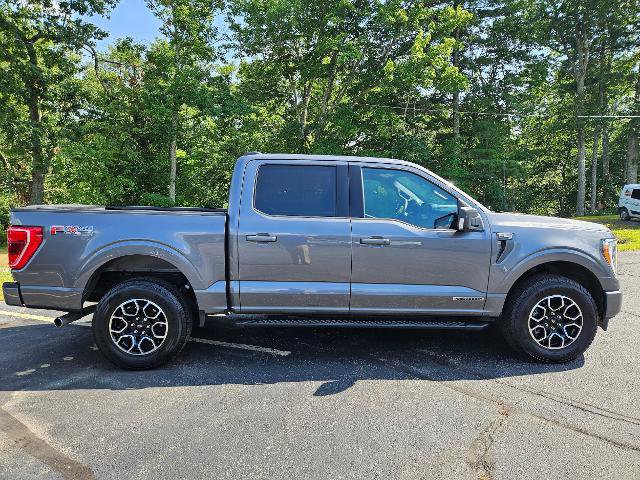 Certified 2023 Ford F150 XLT w/ Equipment Group 302A High AWD/4WD image 4