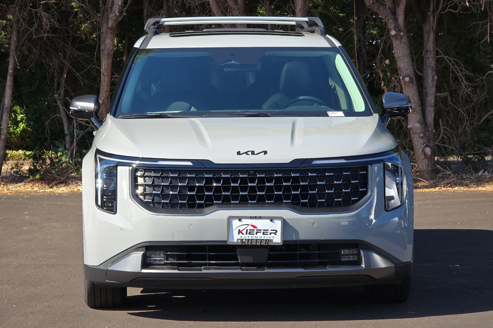 New 2026 Kia Carnival SX Prestige image 5