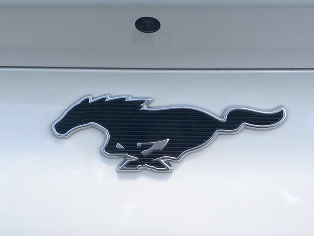 Used 2025 Ford Mustang Mach-E Premium AWD/4WD image 13