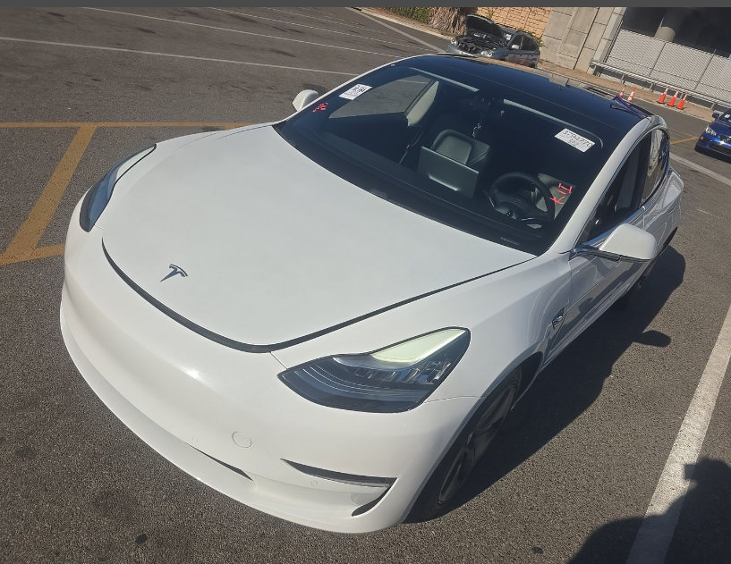 Used 2019 Tesla Model 3 Standard Range Plus