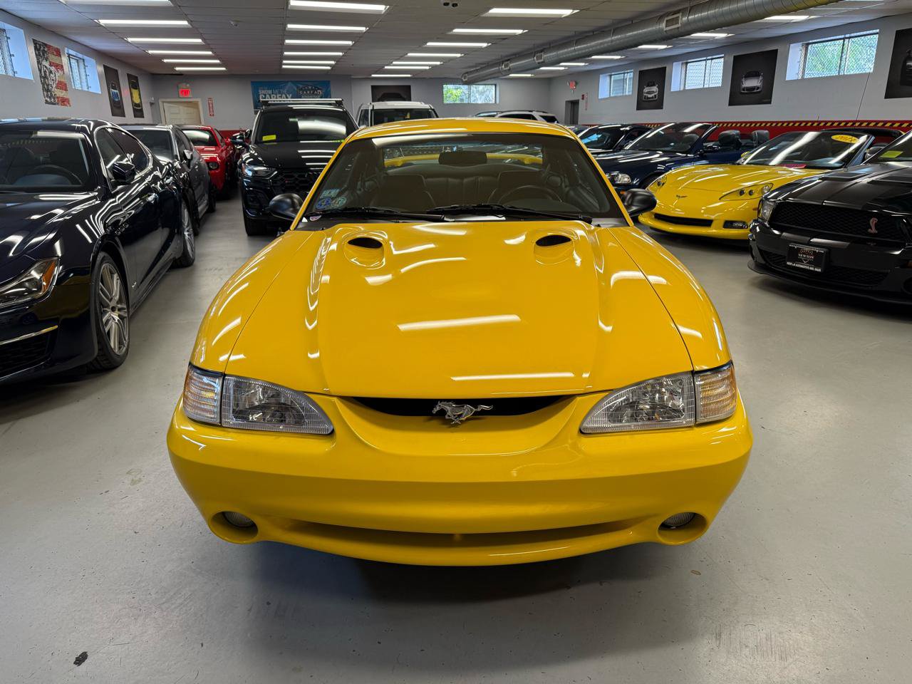 Used 1998 Ford Mustang Cobra RWD image 2