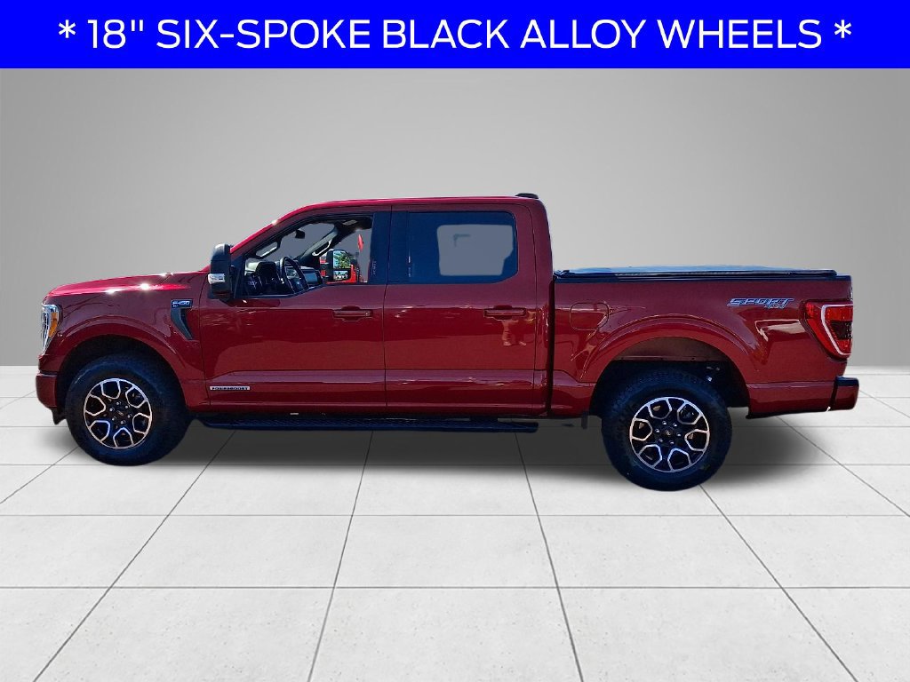 Certified 2022 Ford F150 XLT w/ Equipment Group 302A High AWD/4WD image 4