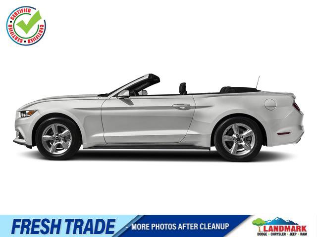 Used 2017 Ford Mustang Premium RWD image 1