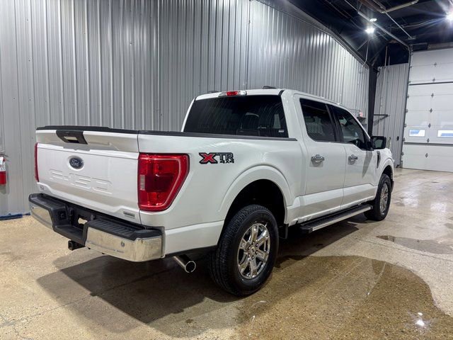 Used 2023 Ford F150 XLT w/ Equipment Group 301A Mid image 6