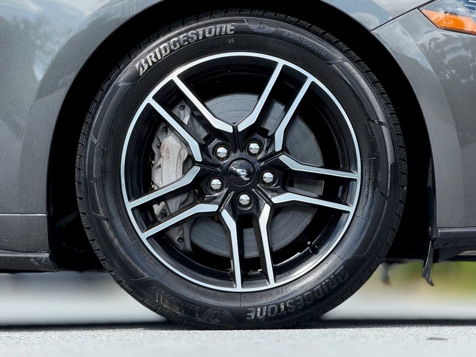 Used 2019 Ford Mustang GT w/ Equipment Group 301A RWD image 20