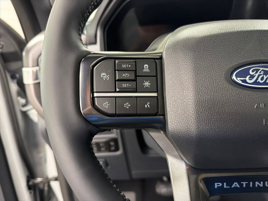 New 2026 Ford F150 Platinum image 19