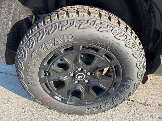 New 2026 Ford Bronco Sport Outer Banks w/ Sasquatch Outer Banks Package AWD/4WD image 14