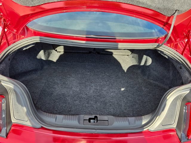 Used 2019 Ford Mustang EcoBoost image 12