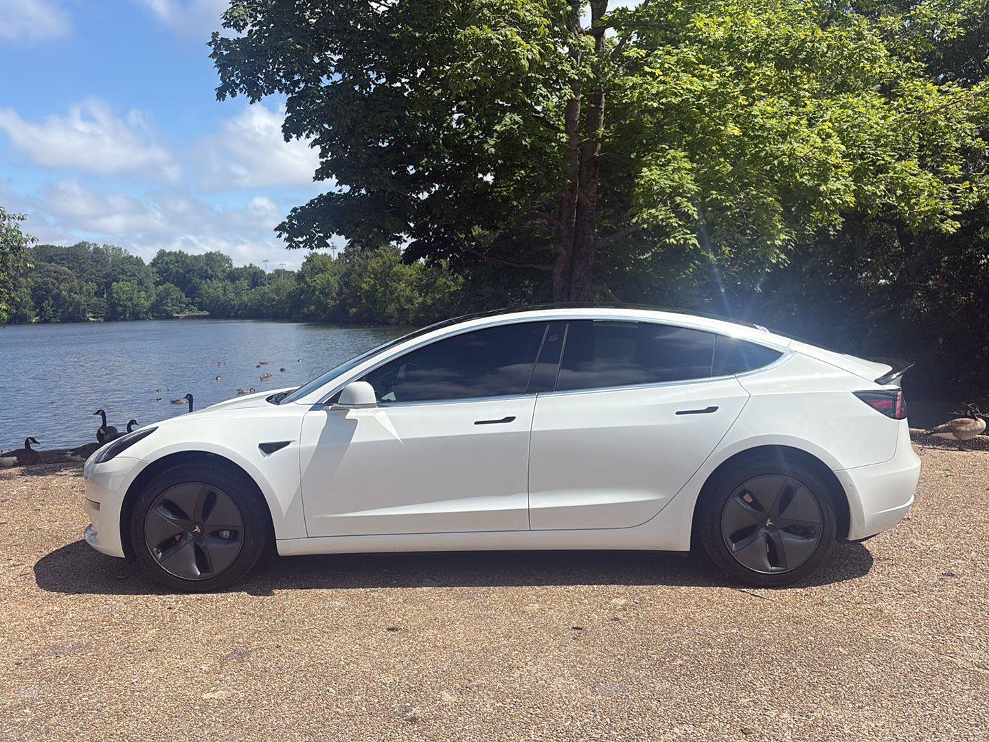 Used 2019 Tesla Model 3 Standard Range RWD image 10