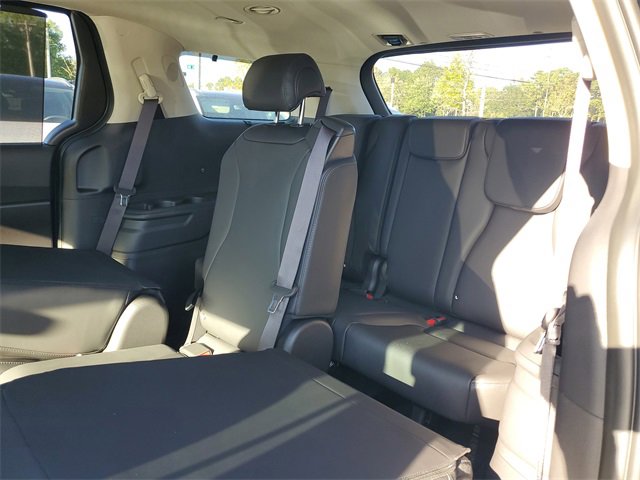 New 2026 Kia Carnival SX image 13