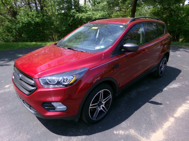 Used 2019 Ford Escape SEL AWD/4WD image 5