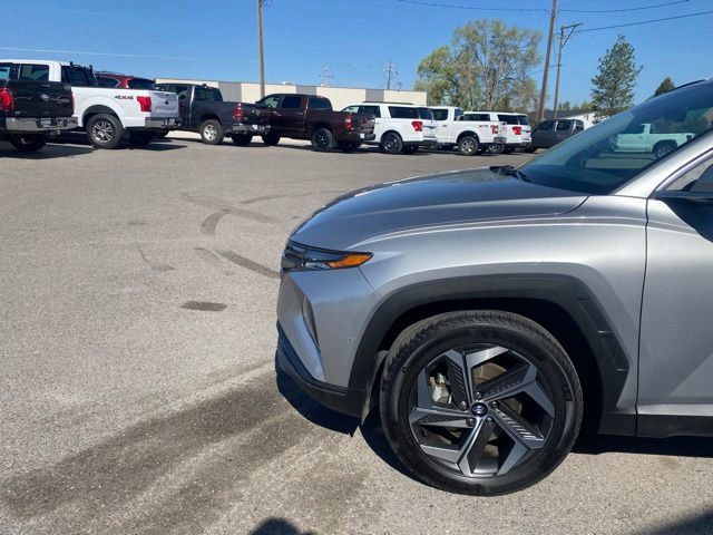 Used 2024 Hyundai Tucson Limited image 4