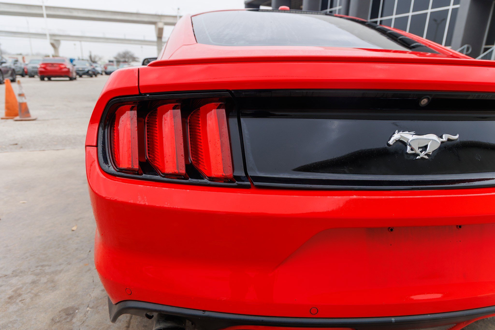 Used 2016 Ford Mustang Premium image 13