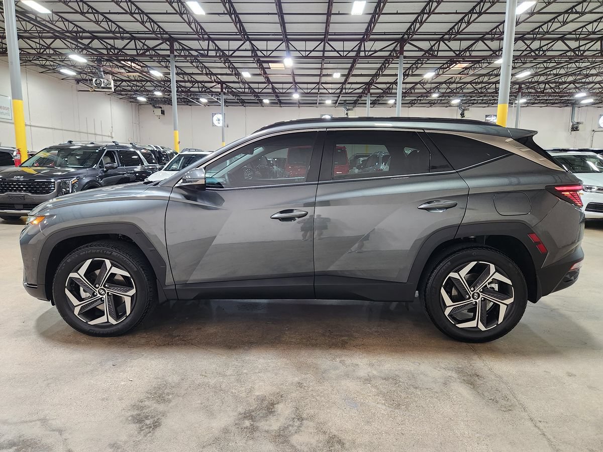 Used 2024 Hyundai Tucson Limited AWD/4WD image 7