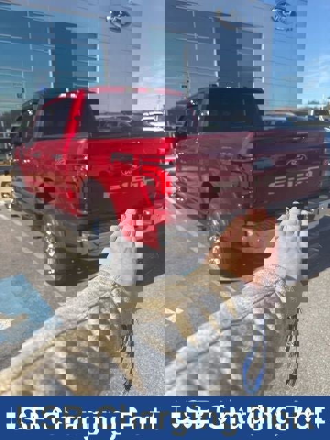 Used 2024 Ford F150 Lariat w/ Equipment Group 502A High image 11