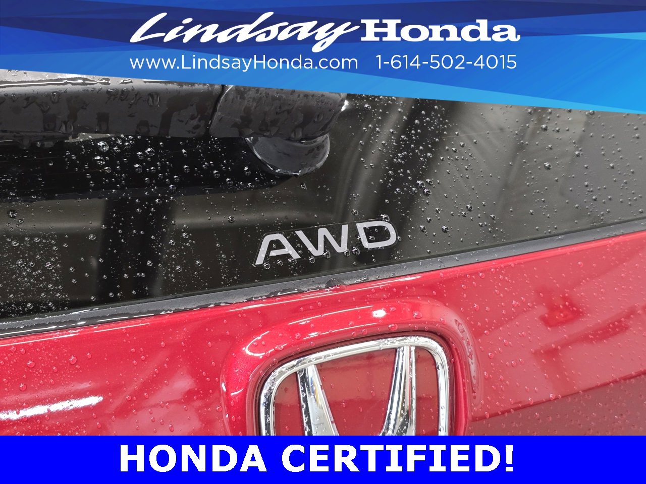 Certified 2024 Honda CR-V Sport-L image 6