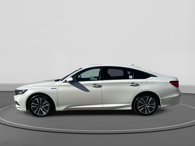 Used 2019 Honda Accord Touring image 7