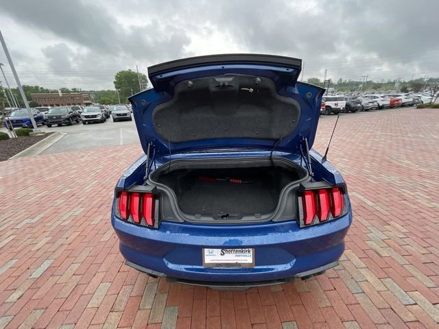 Used 2023 Ford Mustang GT Premium w/ Equipment Group 401A RWD image 30