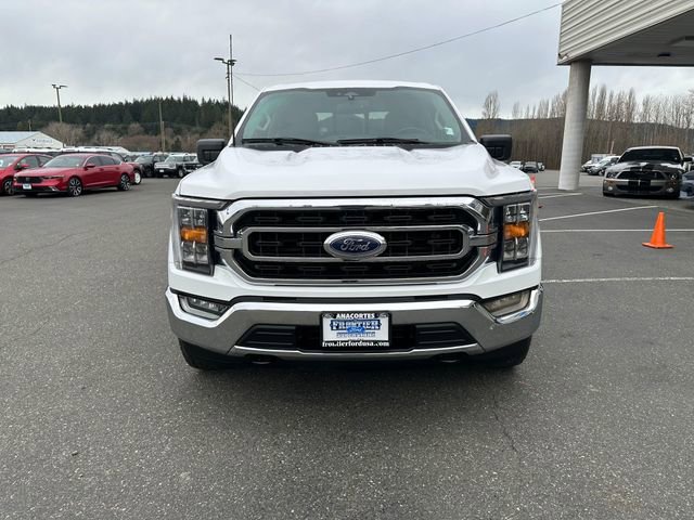 Used 2023 Ford F150 XLT w/ Equipment Group 302A High image 7