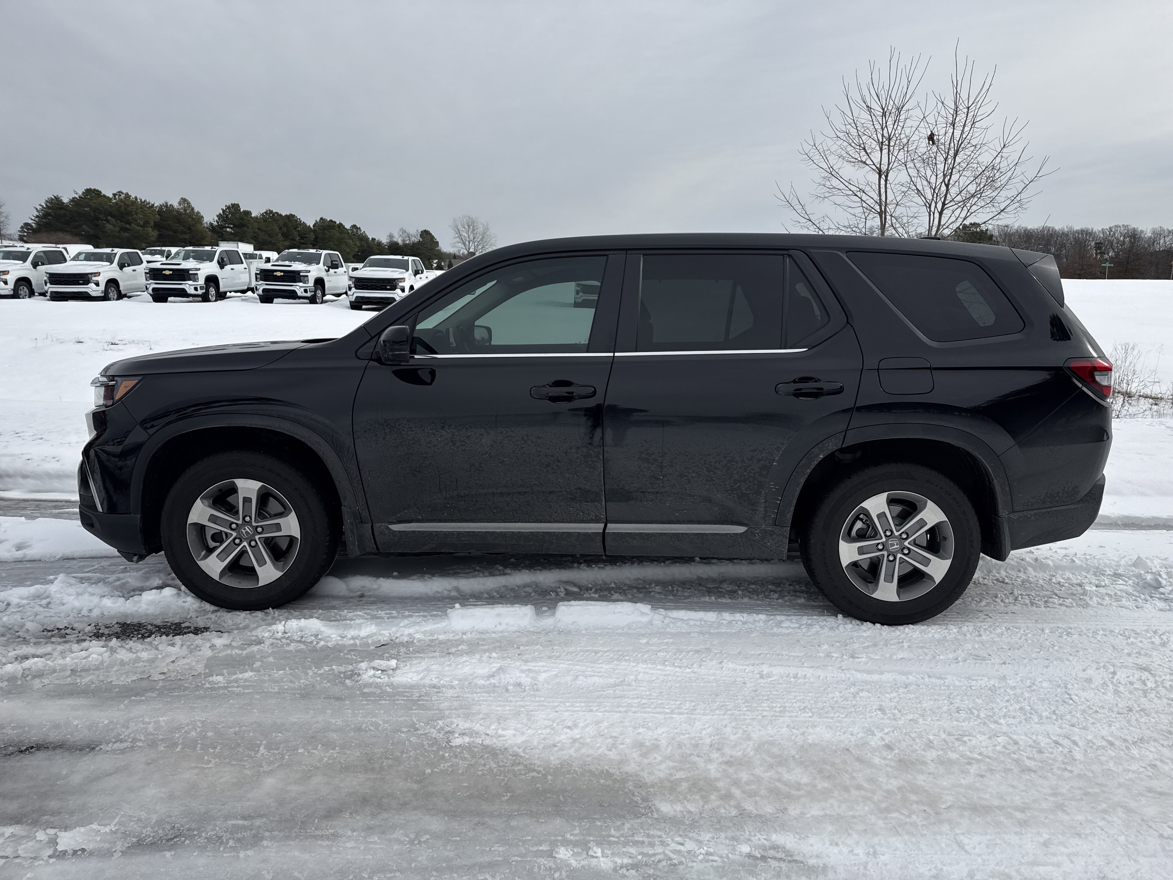 Used 2025 Honda Pilot EX-L image 7