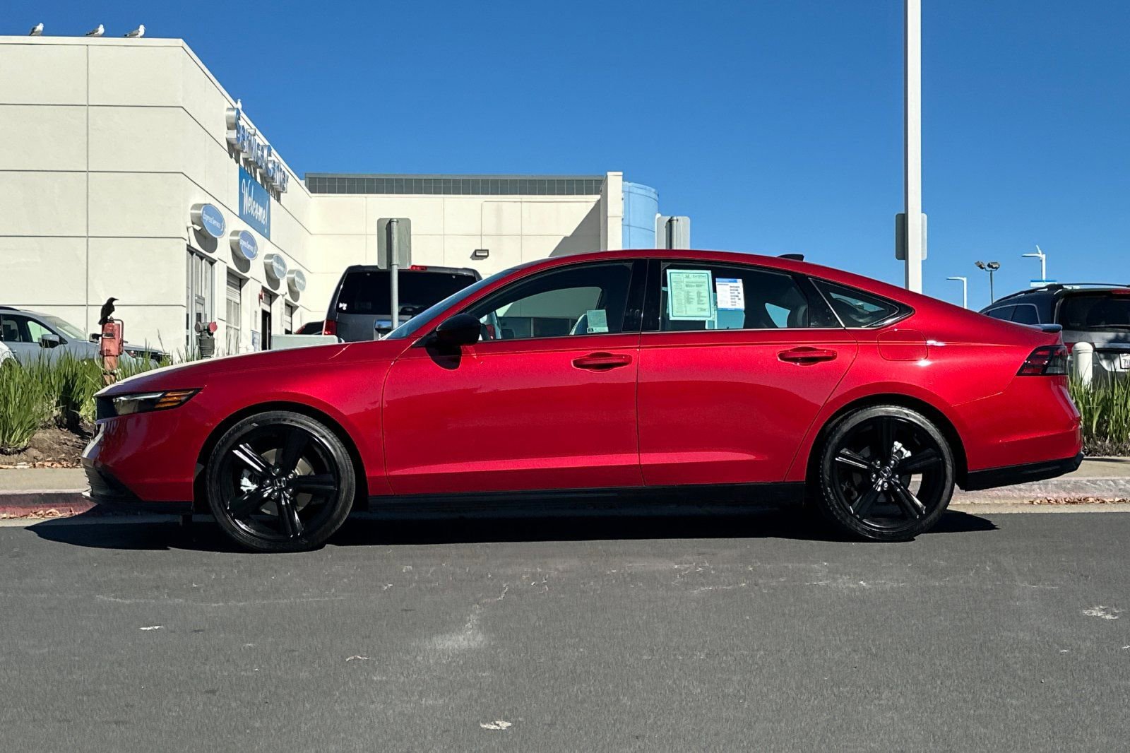 Certified 2025 Honda Accord Sport image 6