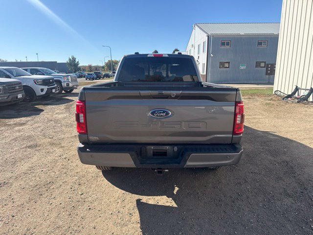 Used 2023 Ford F150 XLT w/ Equipment Group 302A High AWD/4WD image 9