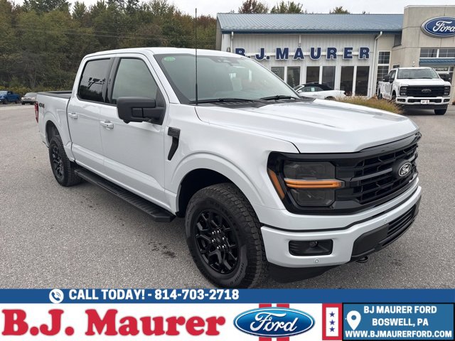New 2025 Ford F150 XLT image 1