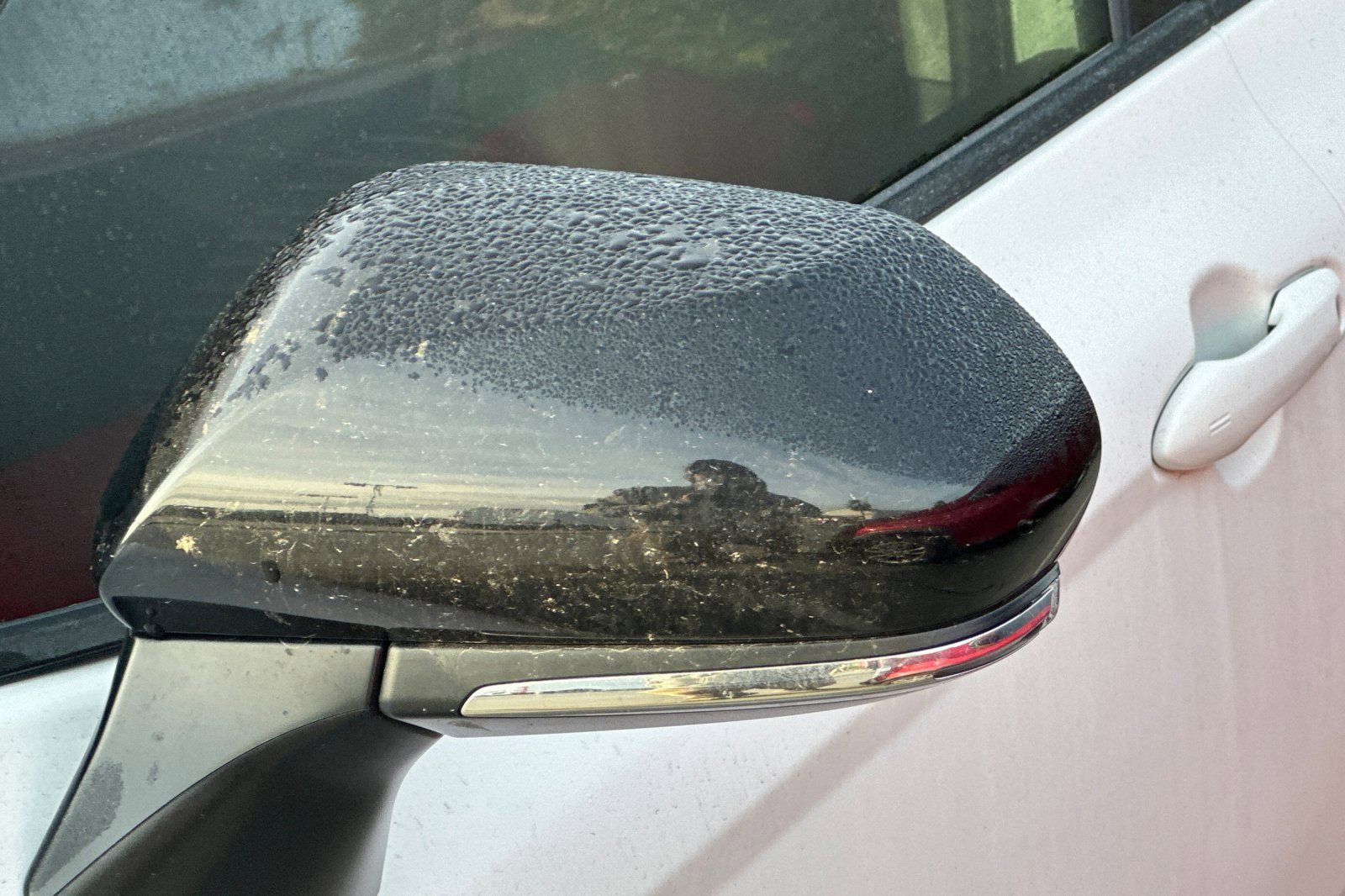 Used 2024 Toyota Camry SE image 11