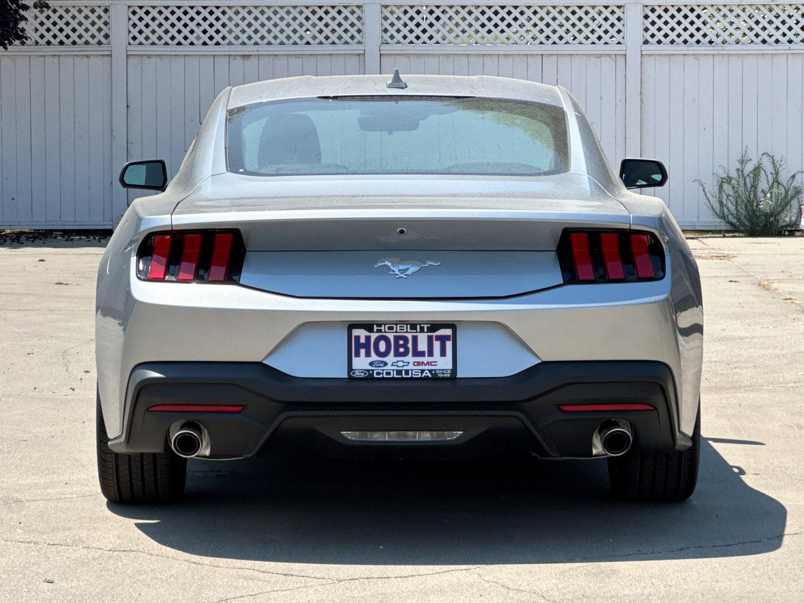 New 2025 Ford Mustang EcoBoost image 4