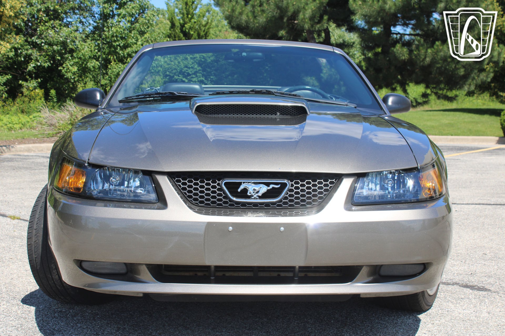 Used 2002 Ford Mustang GT RWD image 8