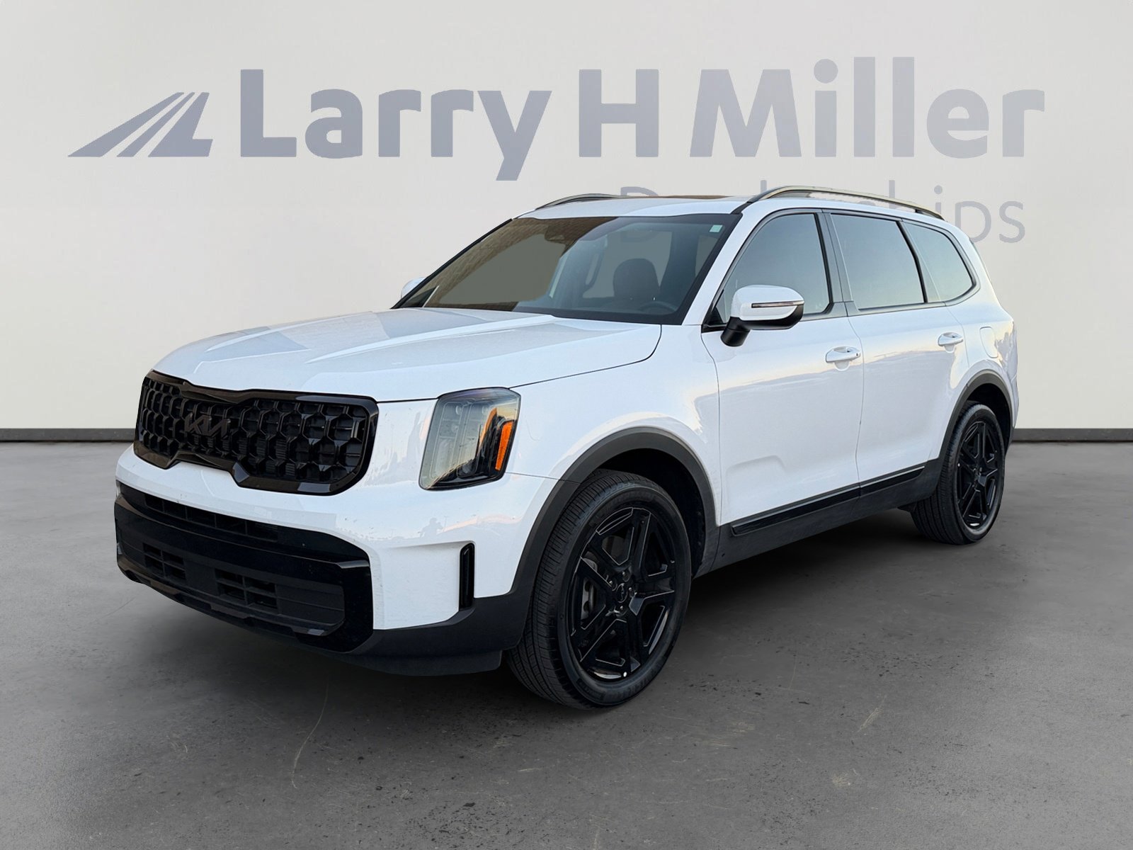 Used 2025 Kia Telluride EX X-Line image 1