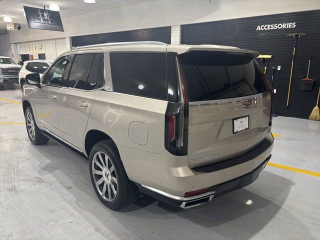 Used 2024 Cadillac Escalade Premium Luxury Platinum image 6