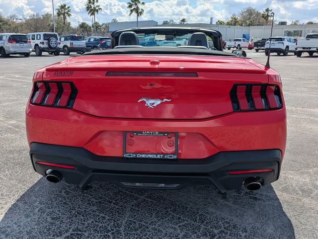 Used 2024 Ford Mustang Premium image 6