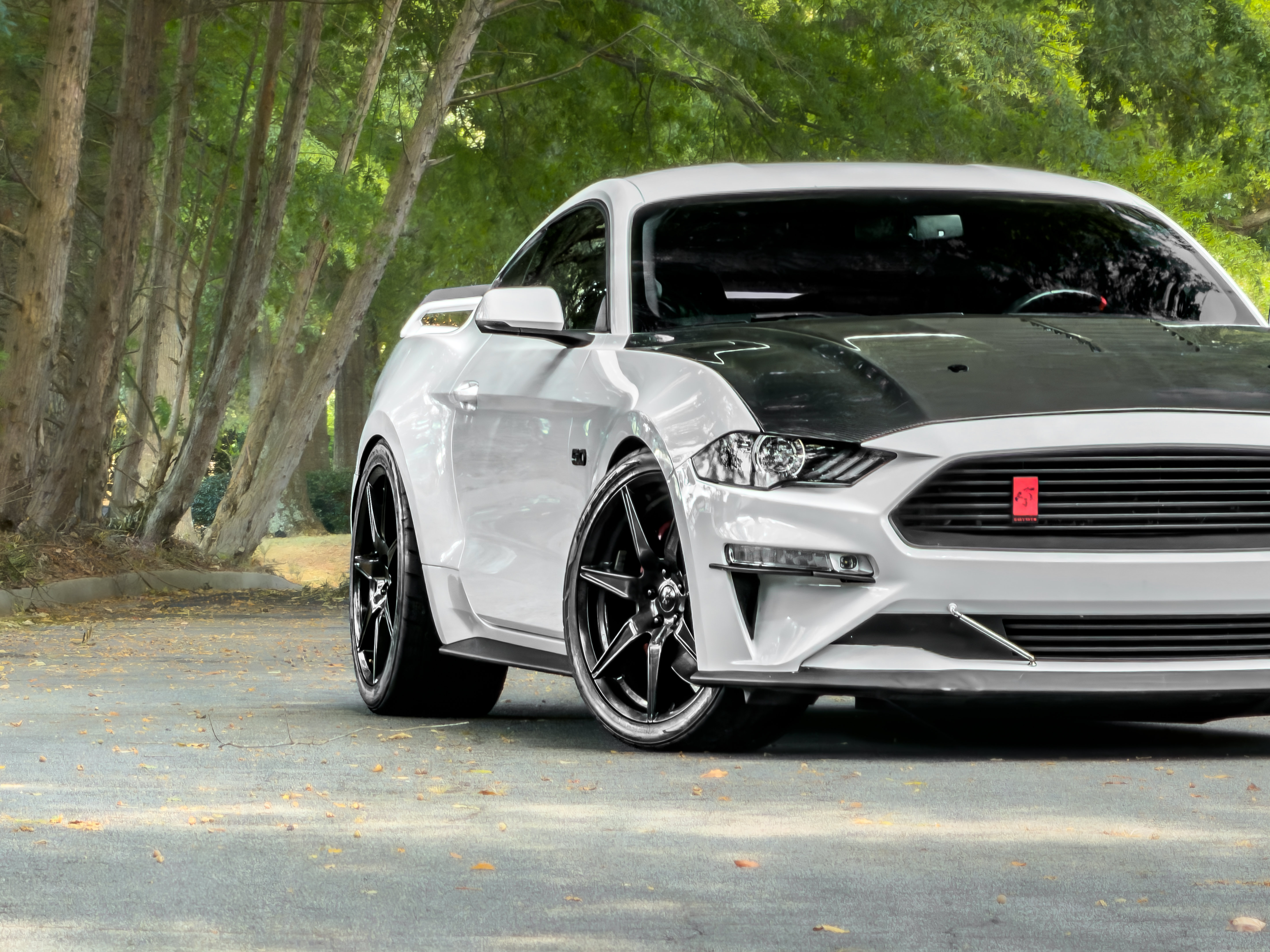 Used 2019 Ford Mustang GT Premium w/ GT Performance Package RWD image 27