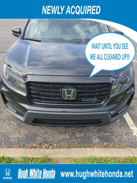 Used 2024 Honda Passport Black Edition image 1