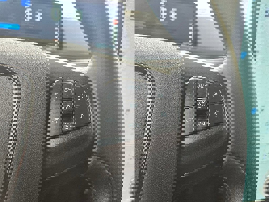 Used 2021 Ford Mustang Mach-E California Route 1 image 14