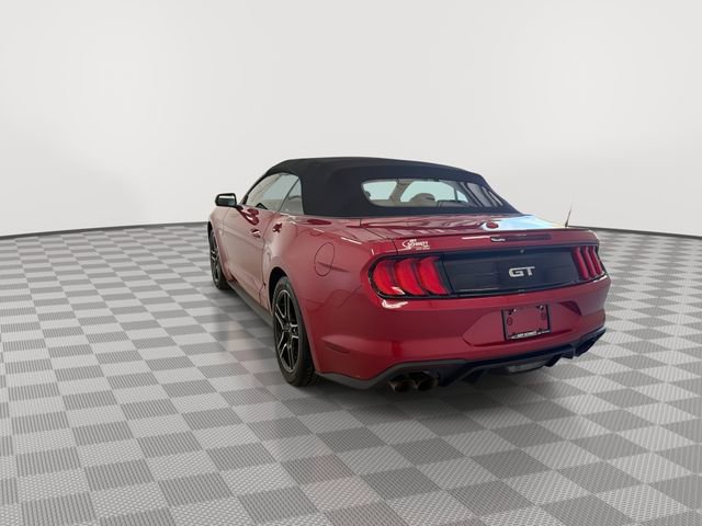 Used 2022 Ford Mustang GT Premium w/ Equipment Group 401A image 9
